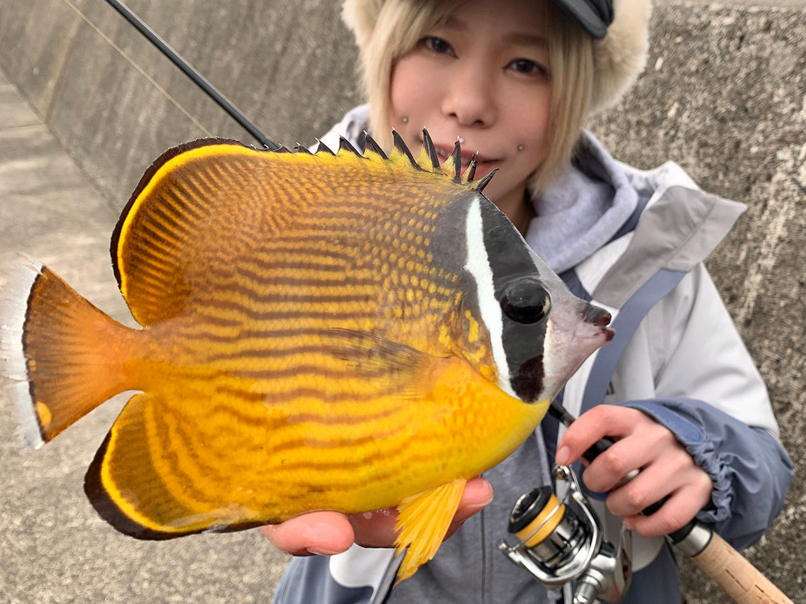 漁港で探す珍魚コレクション (和歌山) – BRECOL