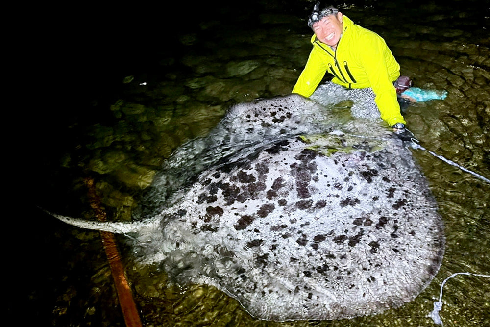 巨大海水エイ】横幅180cm超えのマダラエイ~東京都八丈島~ – BRECOL