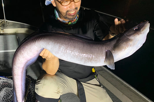 クロアナゴ・東京湾アナコンダを釣って食べる (神奈川県)