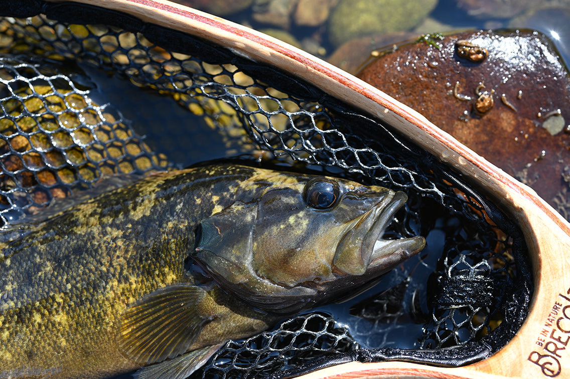 BRECOL ランディングネット 木目 木製 ラバーコーティング